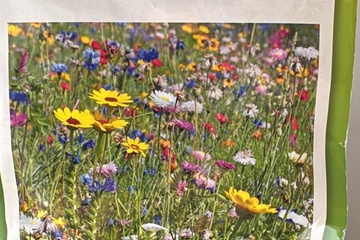 Afbeelding van 2 zakjes zaadmat 60X40 zomerbloemen tht 31-12-25