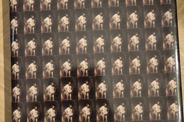 Afbeelding van Late Rembrandt