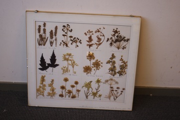 Afbeelding van Ingelijst kunstwerkje van gedroogde bloemen met naam.