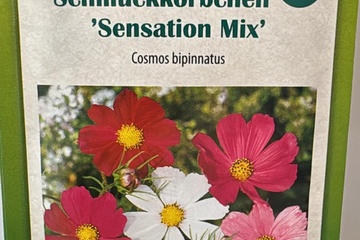 Afbeelding van 2 zakjes zaadjes voor Cosmos mix Schmuckkorbe tht 31-12-2025