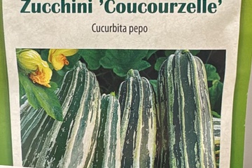 Afbeelding van 2 zakjes zaadjes voor courgette coucourzelle tht 31-12-2025