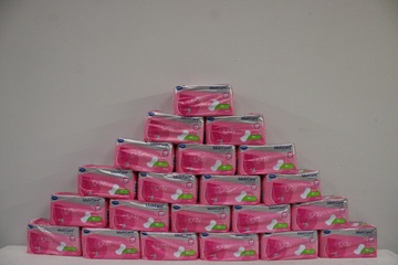 Afbeelding van Moli Care Lady. 21 pakken met 15 stuks.