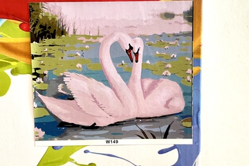 Afbeelding van 2x Schilderen voor volwassenen (#3)