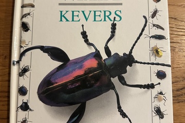 Afbeelding van De Wondere Wereld van de Kevers    Productomschrijving    Te
