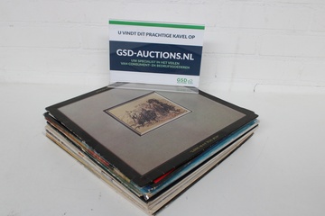 Afbeelding van Mix van Vinyl - Verschillende Genres Platen