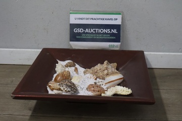 Afbeelding van Schelpen-Schaal'