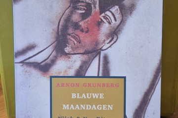 Afbeelding van blauwe maandagen