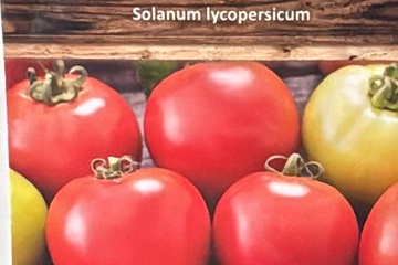 Afbeelding van 2 zakjes zaadjes voor balkon tomaten tht 31-12-25