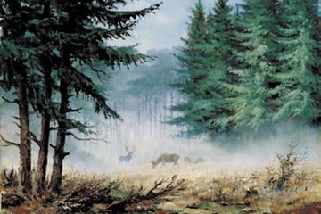 Afbeelding van Reint Withaar - Morning in the mist - Afm: 50x60 cm.