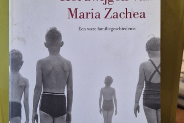 Afbeelding van het zwijgen van maria zachea