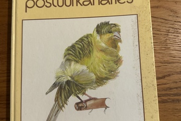 Afbeelding van Pietpraat over Postuurkanaries van Jan Kuiper.    Een uitgeb