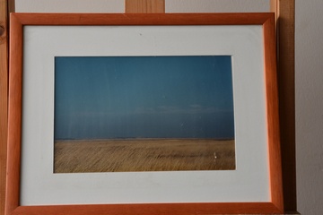 Afbeelding van Ingelijste foto van een duin/graslandschap