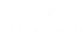 Infra Auction
