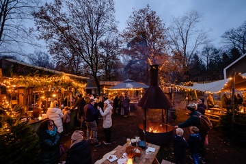Afbeelding van Winterevent voor personeel of met vrienden op 7 december 2025 (20 personen)