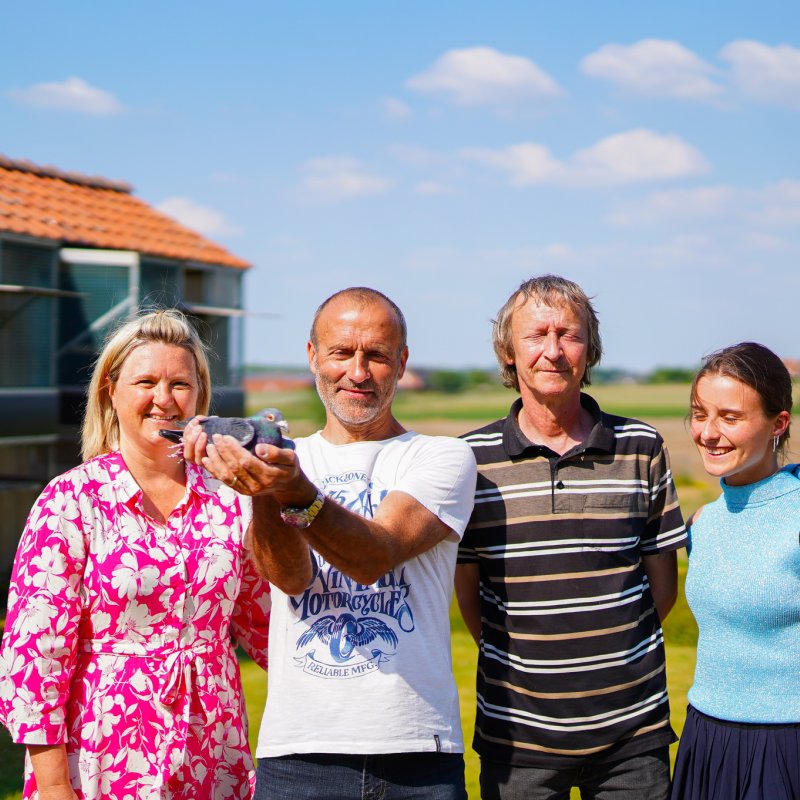 BON 54 Verhulst Kurt (Meulebeke) Pigeons4you