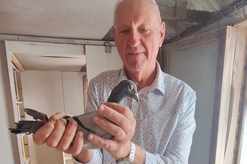 Afbeelding van BON 3  Berquin Frans (Rumbeke)