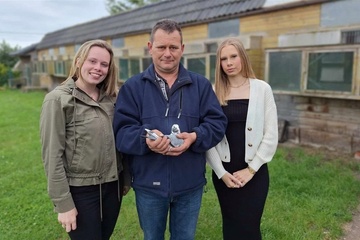 Afbeelding van BON 46: Hok Buffel G&E&F Hooglede