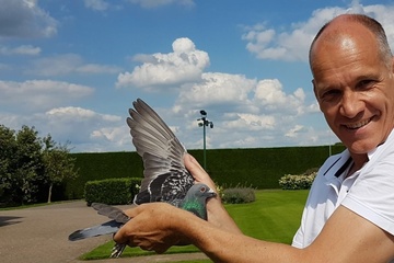 Afbeelding van BON 25 - TEAM HOOYMANS WVL