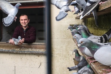 Afbeelding van BON 23 - Stevens Jan (Ooigem)