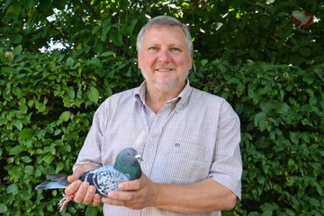 Afbeelding van BON 3 - Erik Denijs (Beveren-Leie)