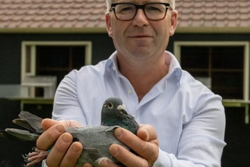 Afbeelding van BON 14 - EVERAERT FREDERIK  AARSELE