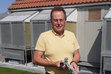 Afbeelding van BON 15 - Dominique Dubrul (Hulste)