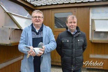 Afbeelding van BON 10  Commeene -Vandewalle (S-El-Wink.