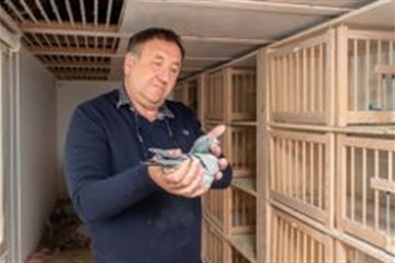 Afbeelding van BON 76 Vaneenoo Bart Wingene