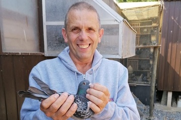 Afbeelding van BON 24 - Paul Callens (Heestert)