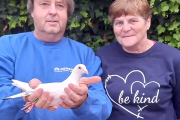 Afbeelding van BON 23: Demaegdt Rony Wakken