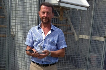 Afbeelding van BON 7 Buyck  Marc (Lendelede)