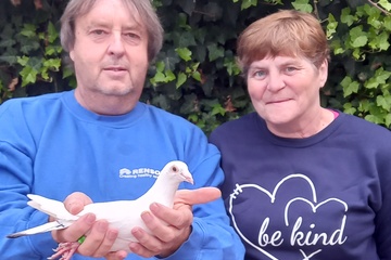 Afbeelding van BON 26 - DEMAEGDT RONY WAKKEN