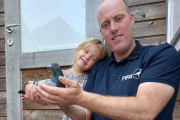 Afbeelding van BON 27 - LOFT VERSTRAETE PIGEONS WIELSBEKE