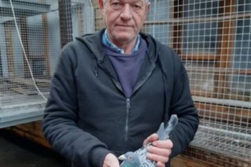 Afbeelding van BON 64: Damman Geert Oostrozebeke