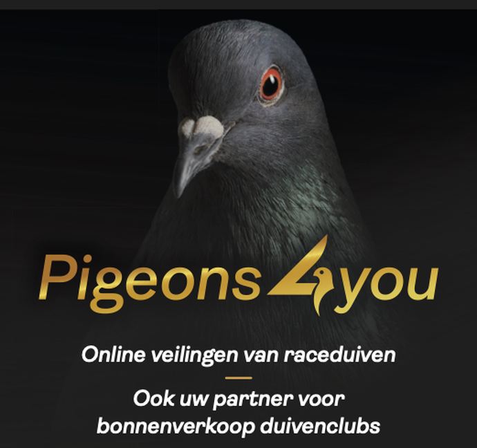 Afbeelding van WELKOM - WELCOME - BIENVENUE!