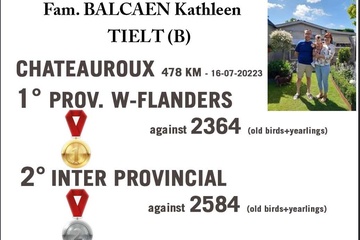 Afbeelding van BON 45: SCHENKING 2 Balcaen Kathleen Tielt