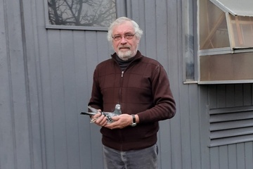 Afbeelding van Bon 9: Verbeke Geert Tielt