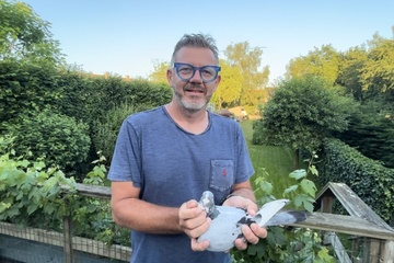 Afbeelding van BON 41 - Frederik Bracke (Waregem)