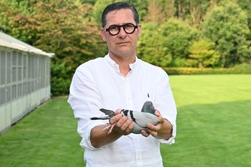 Afbeelding van BON 6 - Deroose Dirk (Kruishoutem)