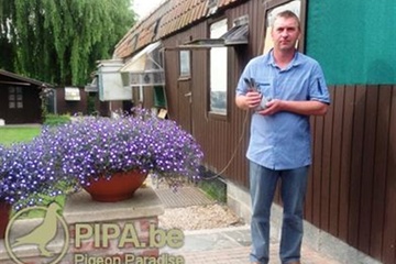 Afbeelding van BON 15 - HEGGERMONT LAURENS INGELMUNSTER