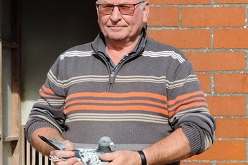 Afbeelding van BON 16 - HELLEBUYCK JACQUES AARSELE