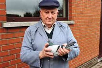 Afbeelding van BON 77: Wildemauwe Jacques Beernem