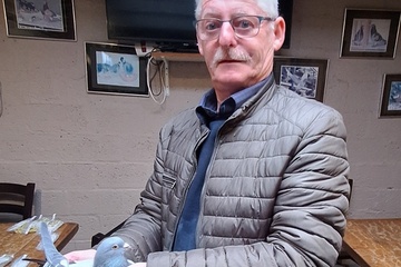 Afbeelding van BON 17: Poelvoorde Ivan Aarsele - Tielt