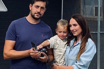 Afbeelding van BON 36: Bouckaert - Crul Ardooie