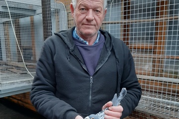 Afbeelding van BON 7 - DAMMAN GEERT OOSTROZEBEKE