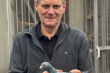 Afbeelding van BON 12 - Joseph Vandeputte (Deerlijk)