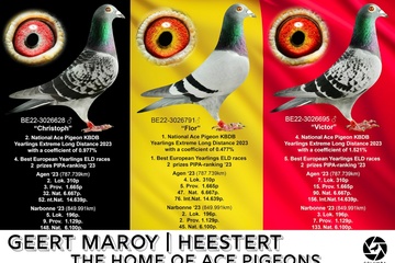 Afbeelding van BON 32: Maroy Geert Zwevegem - Heestert