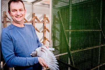 Afbeelding van BON 17 - MEURYSSE JOHN  OESELGEM