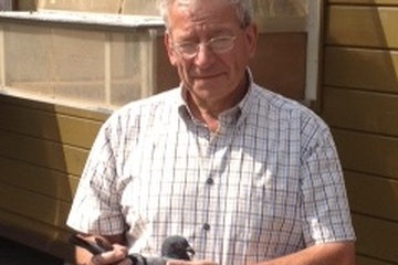 Afbeelding van BON 1 - AMPE MARC OOIGEM