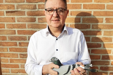 Afbeelding van BON 13 - DUYCK PATRICK OOSTROZEBEKE